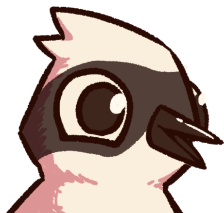 Lavadeira(pássaro) falando, 2024